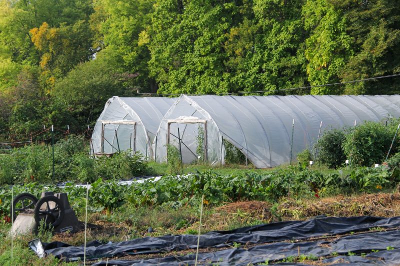 Campus Dining Farm