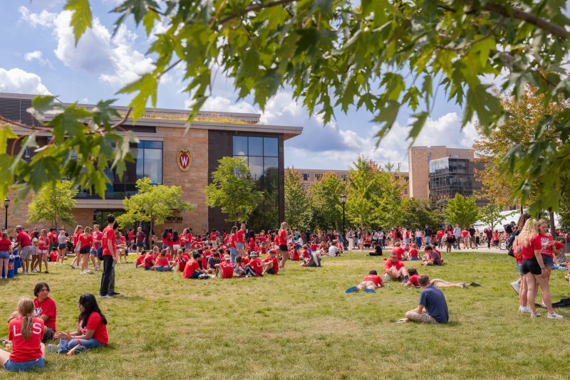 A large group of people sit on a lawn in front of a building eating lunch with the leaves and branches of the tree in the foreground