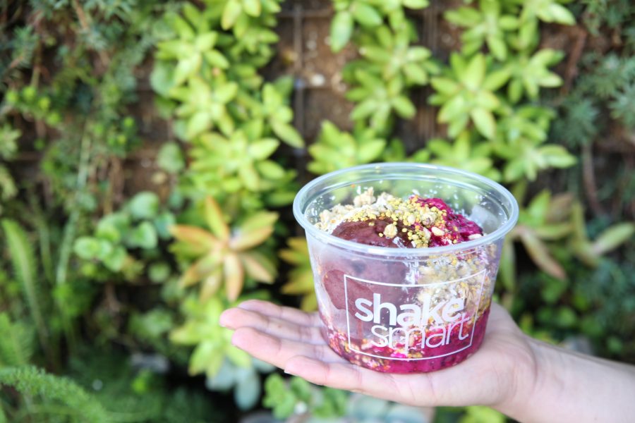 Shake Smart acai bowl with greenery in the background