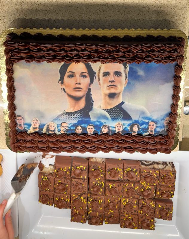 Liz's Market Hunger Games themed cake