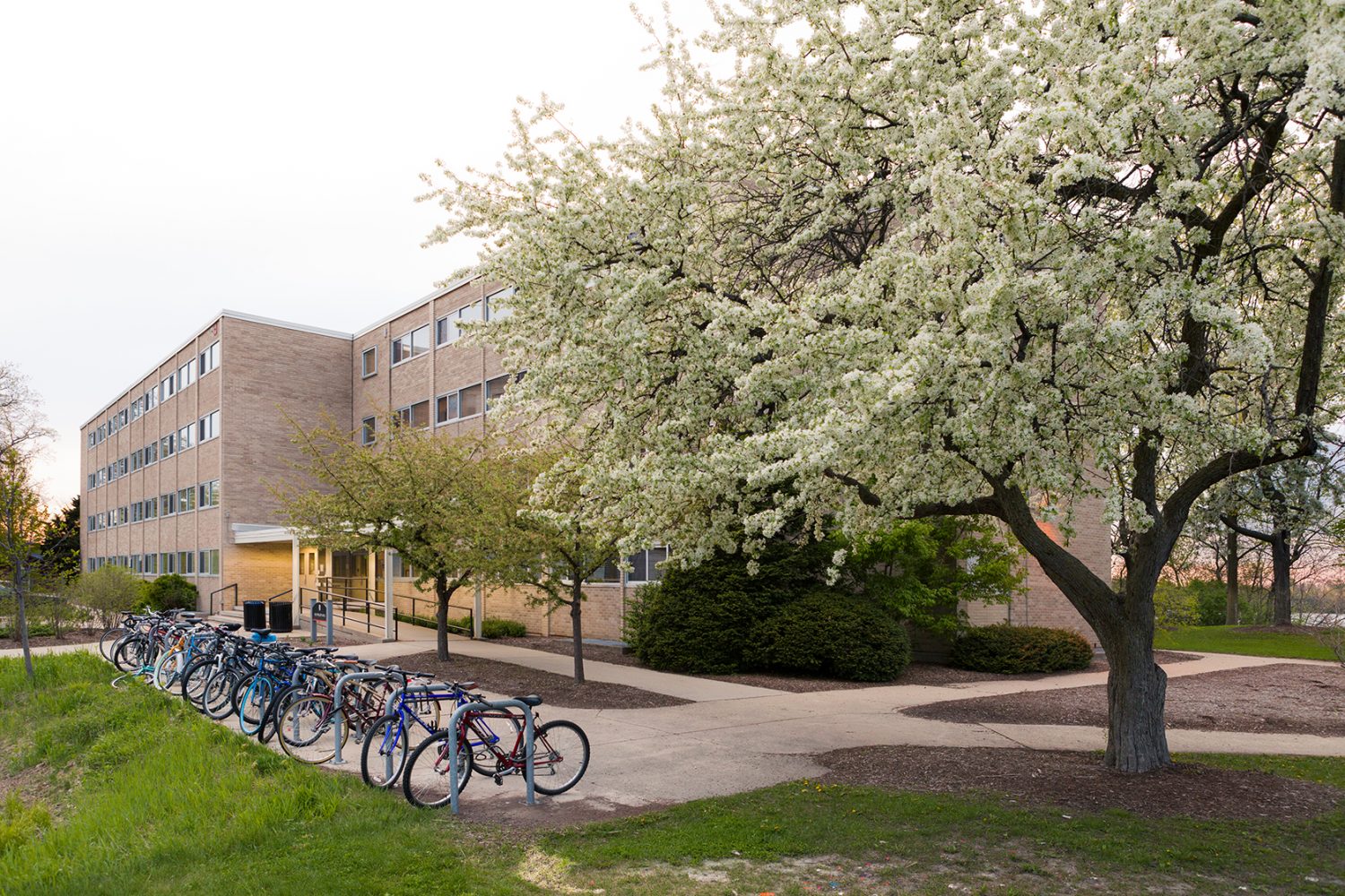 Phillips Hall exterior in the spring