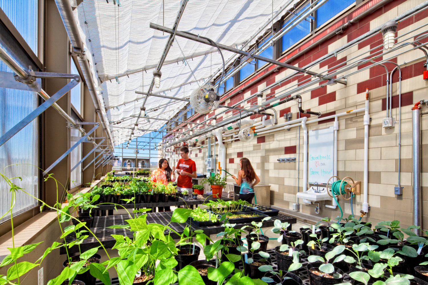 Leopold Hall's greenhouse