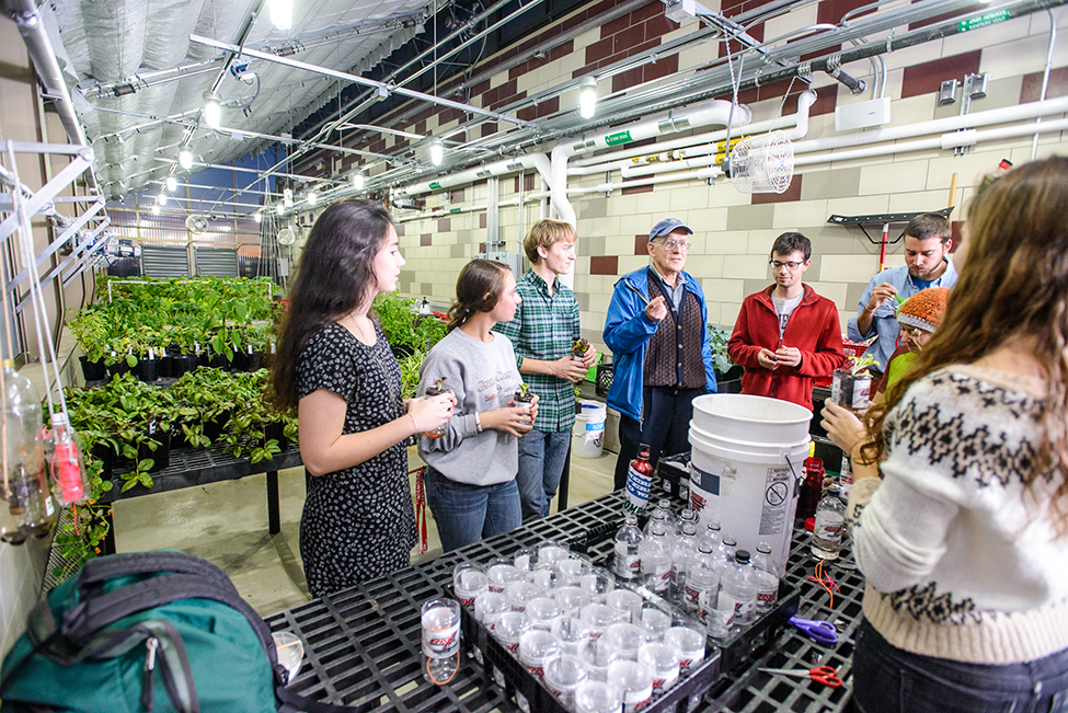 Greenhouse residents participate in a gardening project
