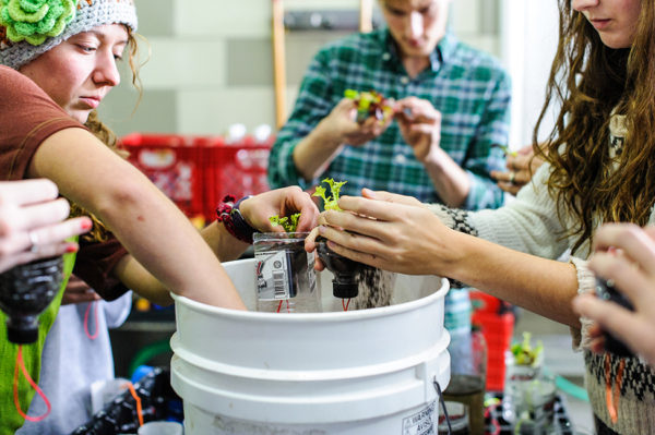 Greenhouse residents complete a gardening project