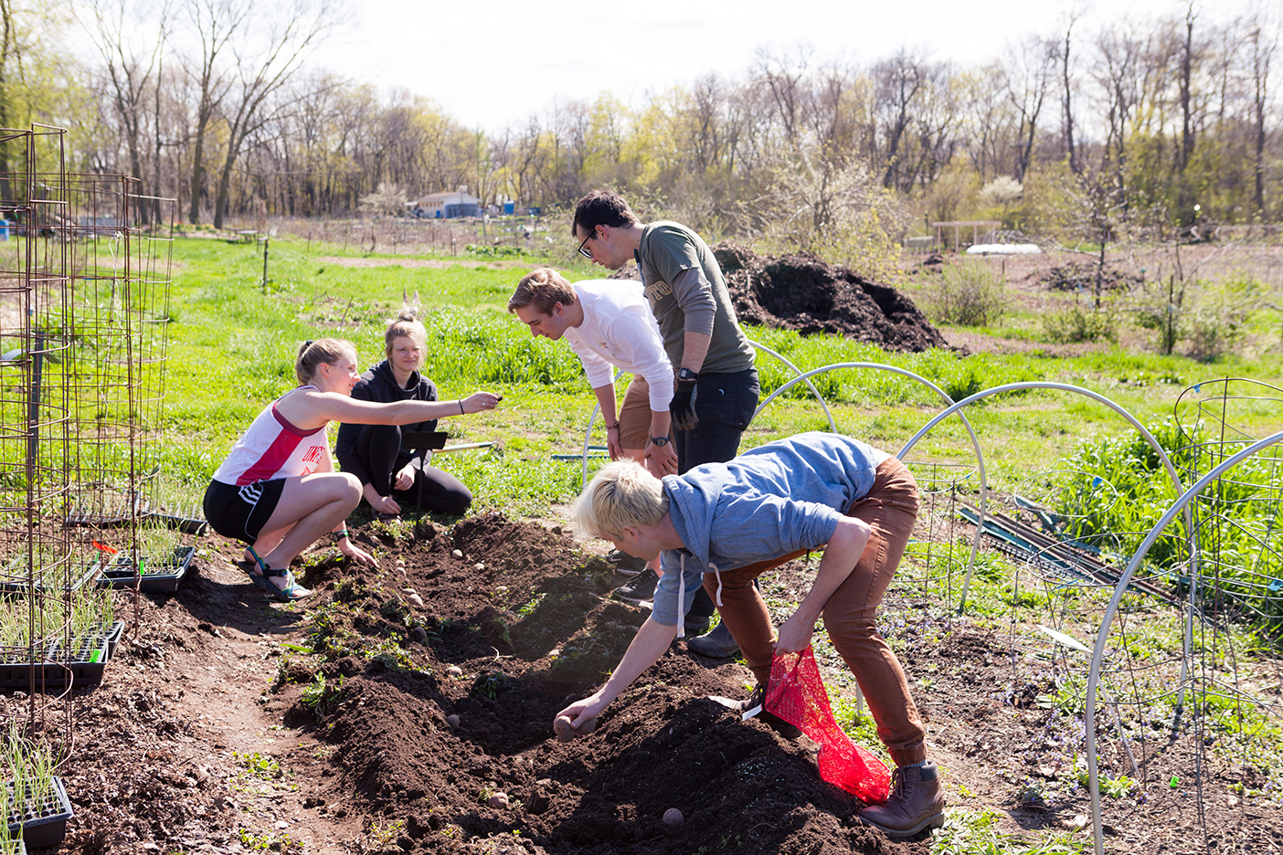 Greenhouse residents tend to the Eagle Heights community garden