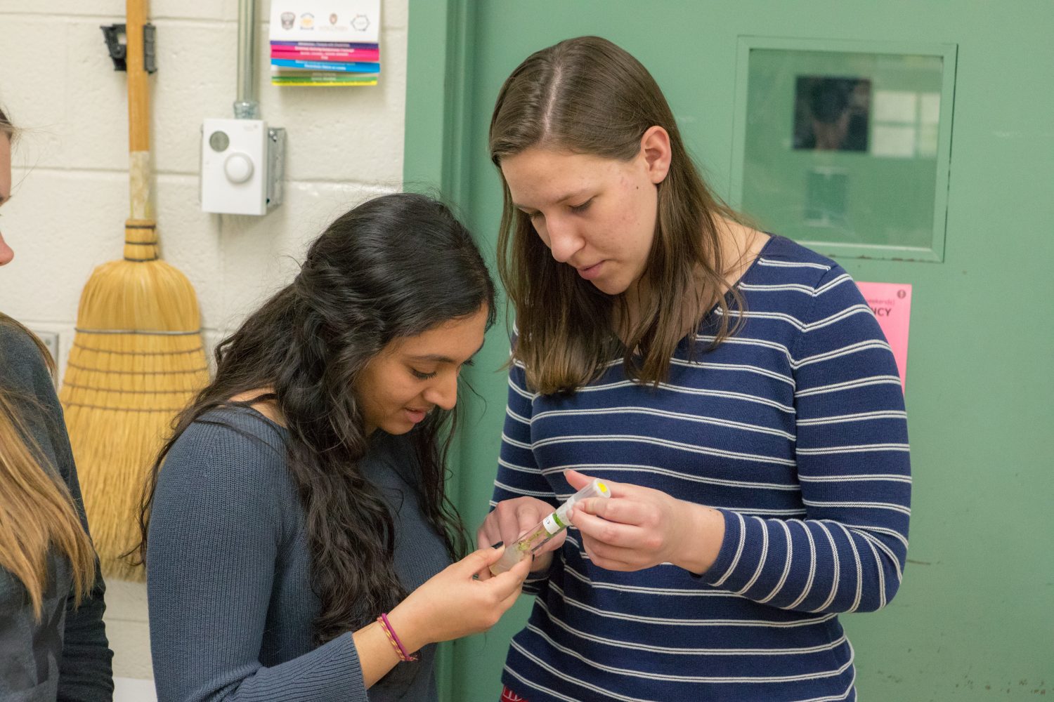 Students looking at research material together