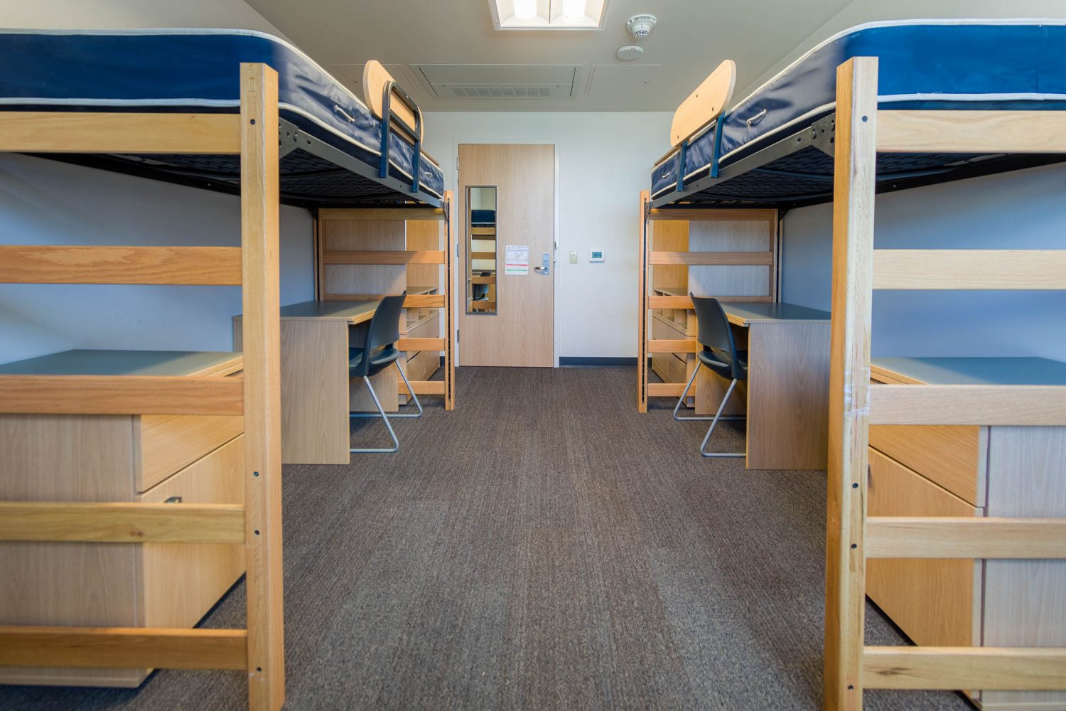 An interior view of a 2-Window Double room on the 11th floor of Witte Residence Hall