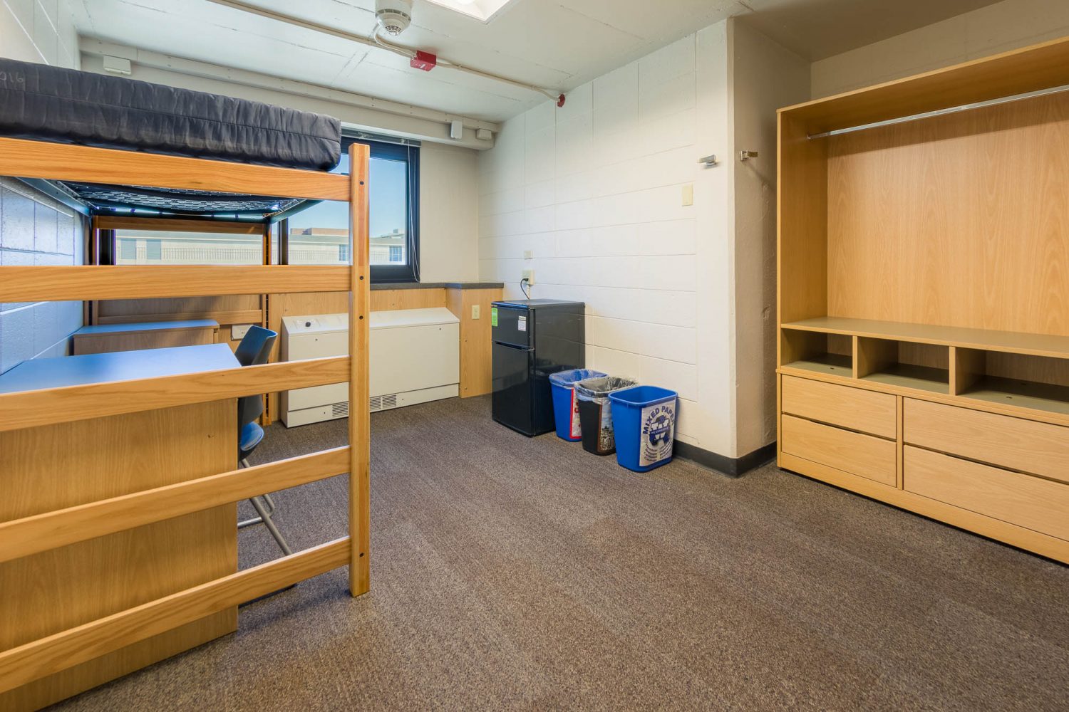 An interior view of a 2-Window Double room in Witte Residence Hall
