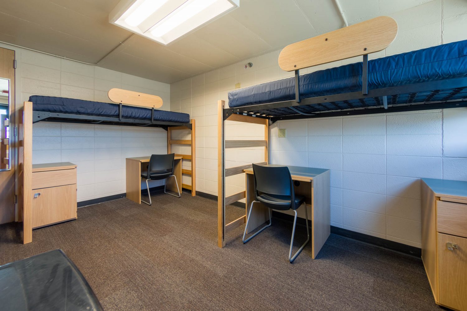 An interior view of a 2-Window Double room in Witte Residence Hall