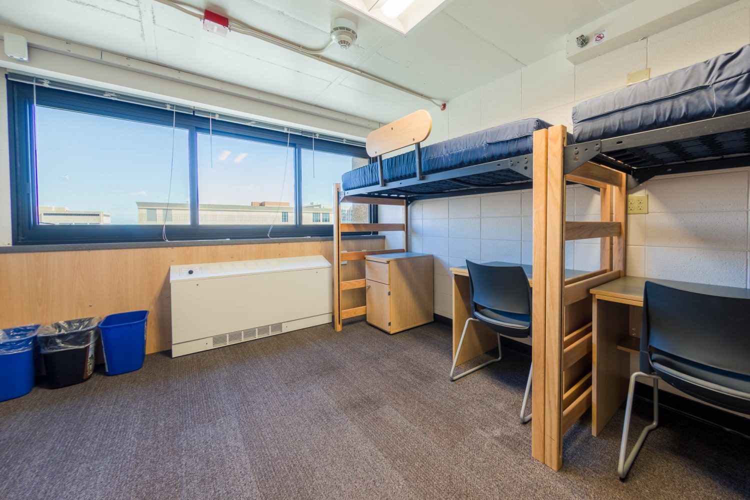An interior view of a 3-Window Double room in Witte Residence Hall
