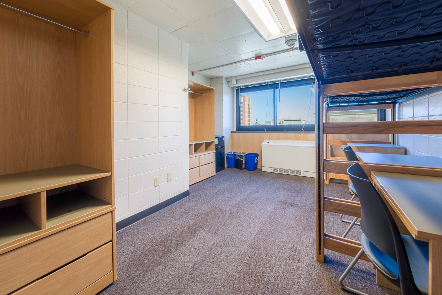 An interior view of a 3-Window Double room in Witte Residence Hall