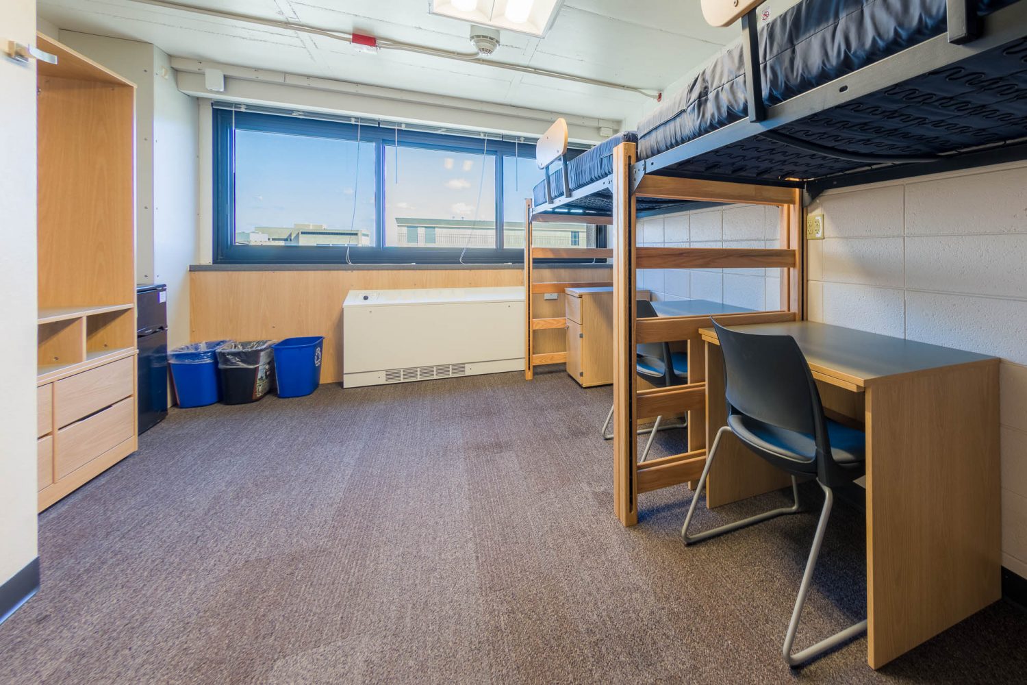 An interior view of a 3-Window Double room in Witte Residence Hall