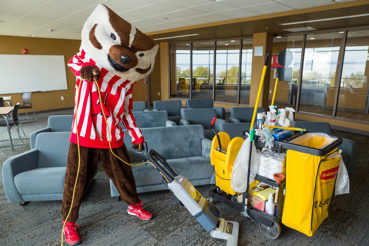 Bucky cleaning a lounge