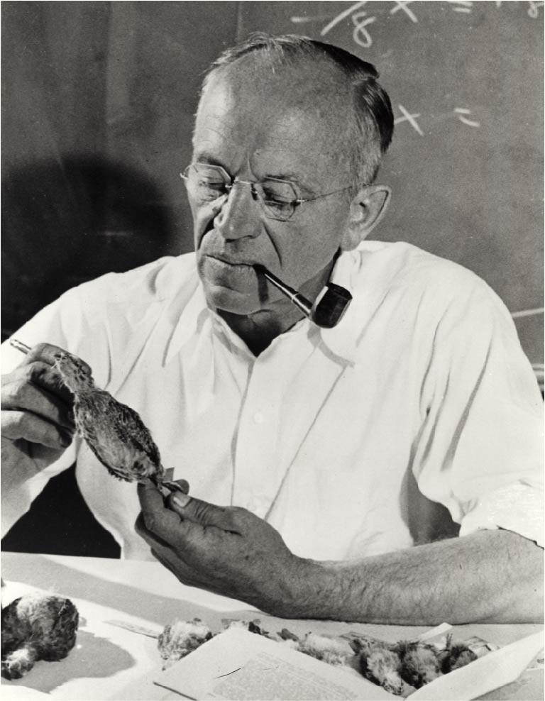 Aldo Leopold