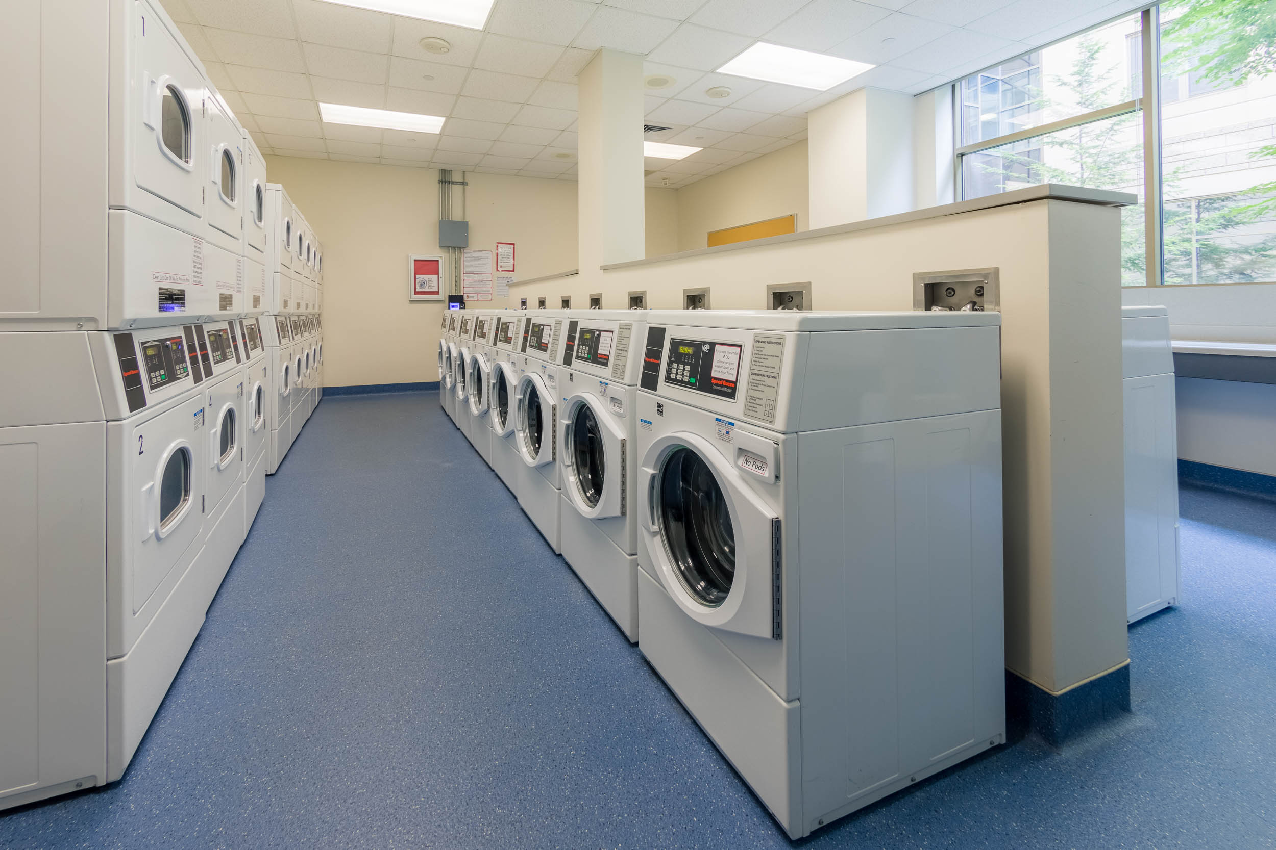 Ogg laundry