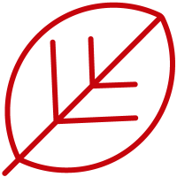 leaf icon