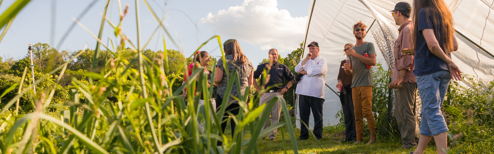 Students and staff gather around and chat in green space with tall grass
