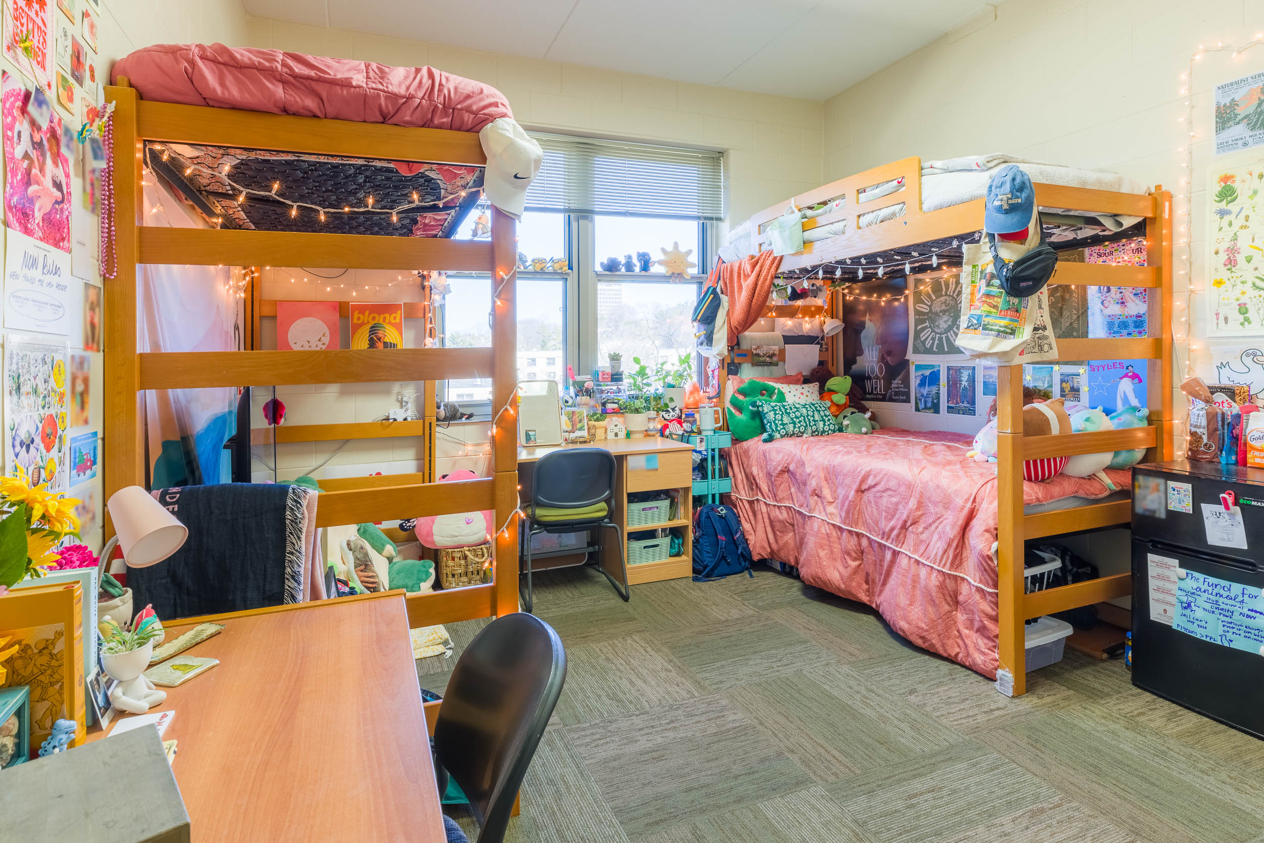 2023 Leopold Best Room Contest finalist room