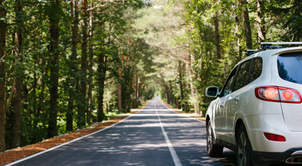 A view of a car from the back driving down a road in a forested area