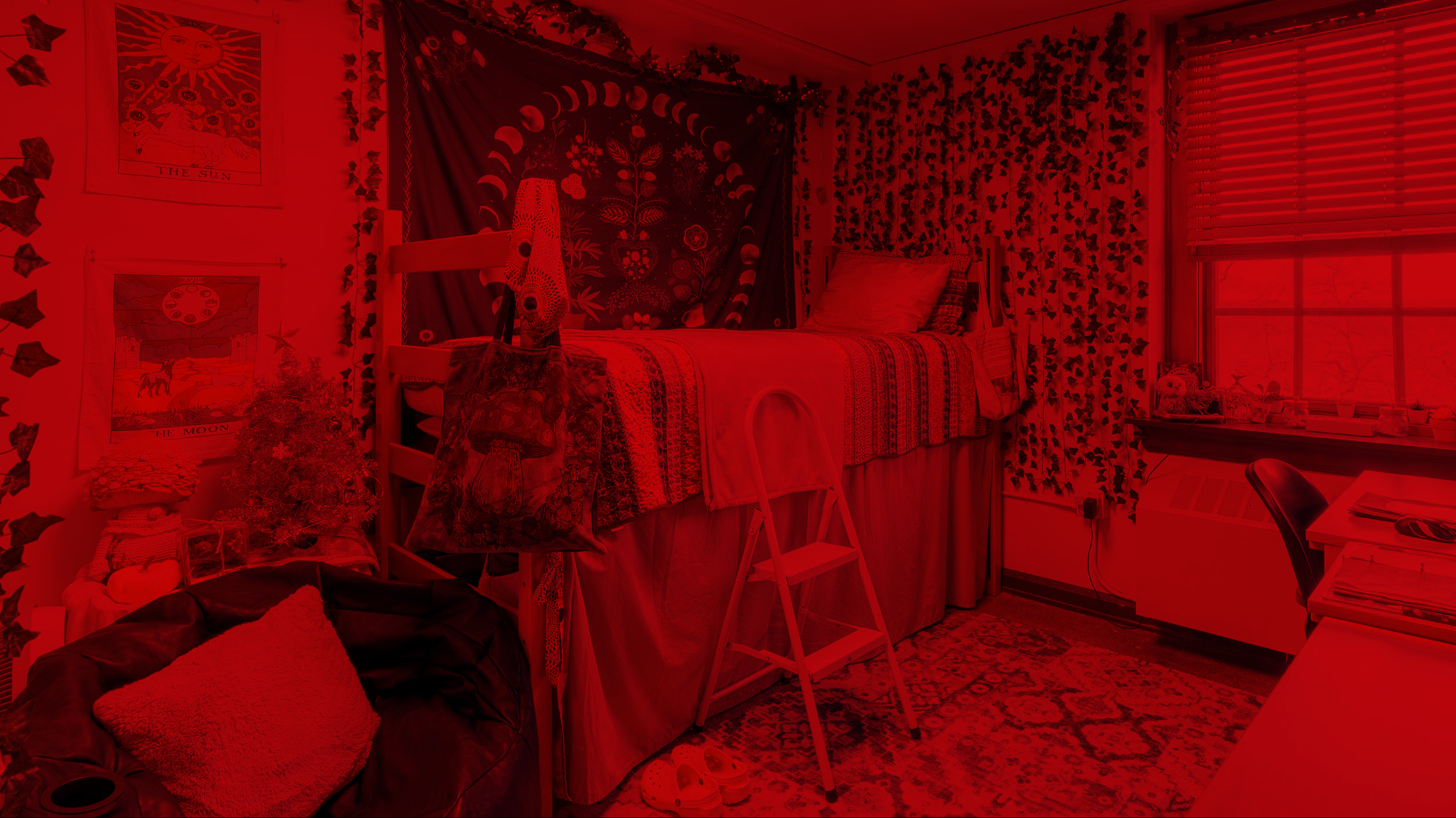 Tripp 2023 Best Room Contest finalists' room