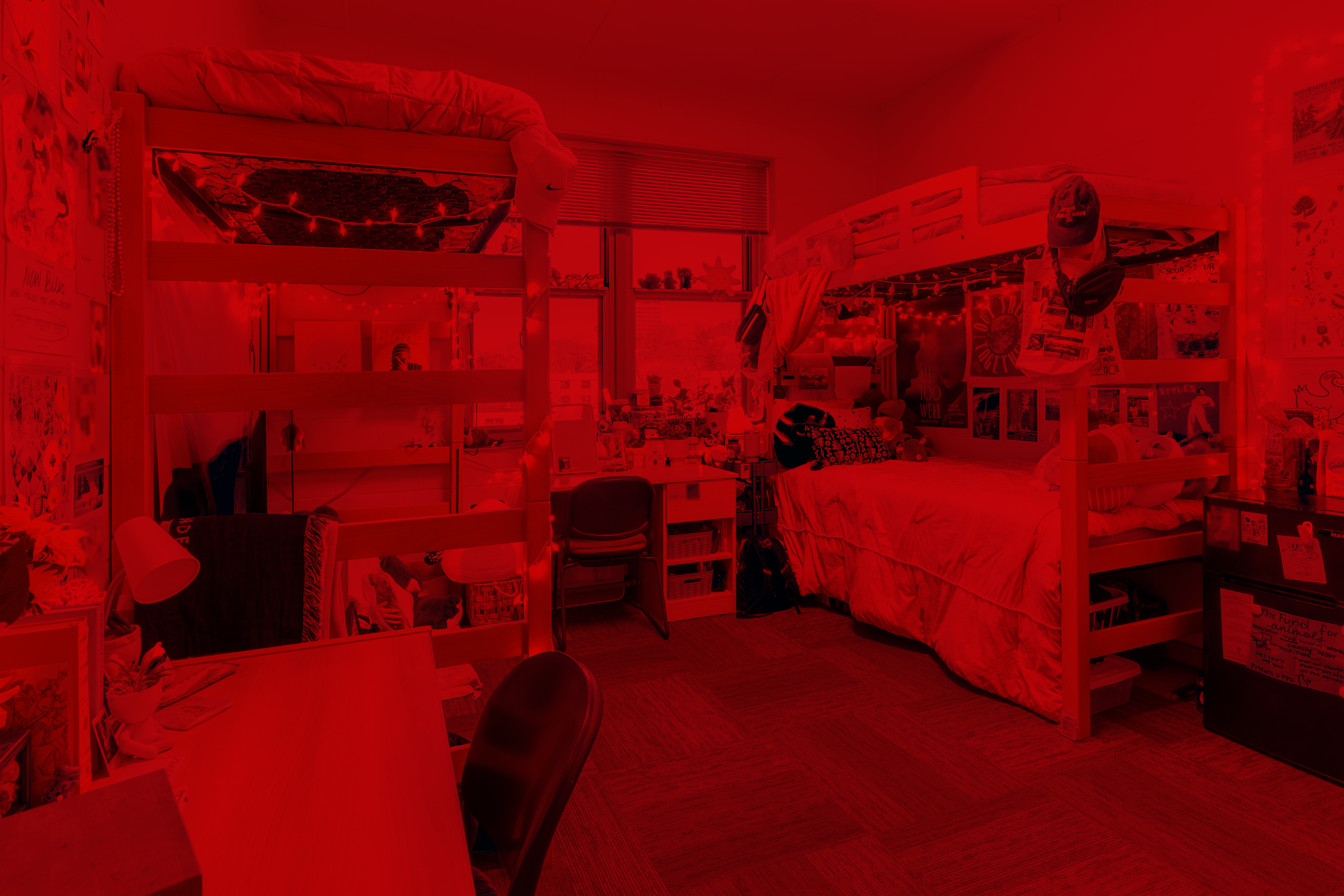 Leopold 2023 Best Room Contest finalists' room