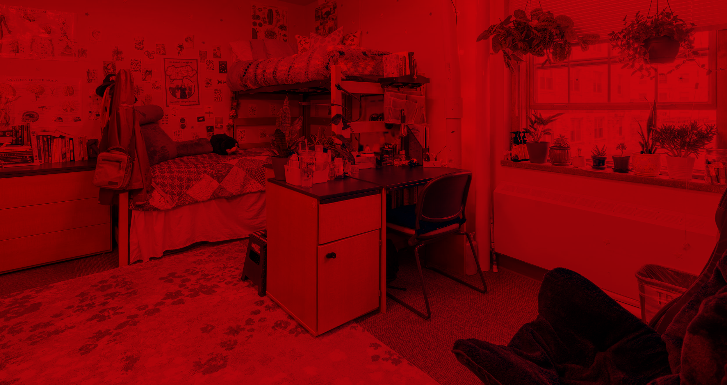 Waters 2023 Best Room Contest finalists' room