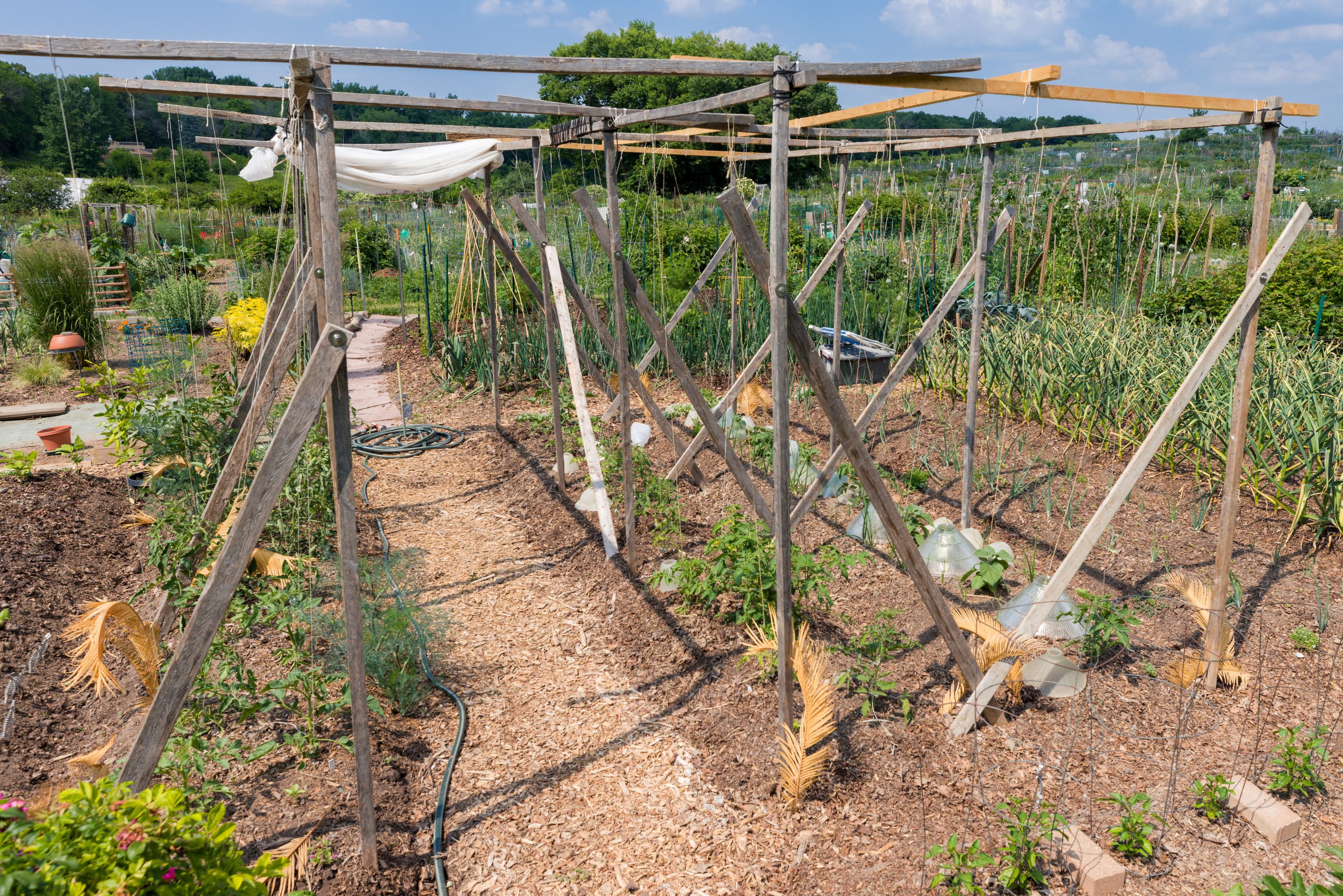 Eagle Heights Community Garden
