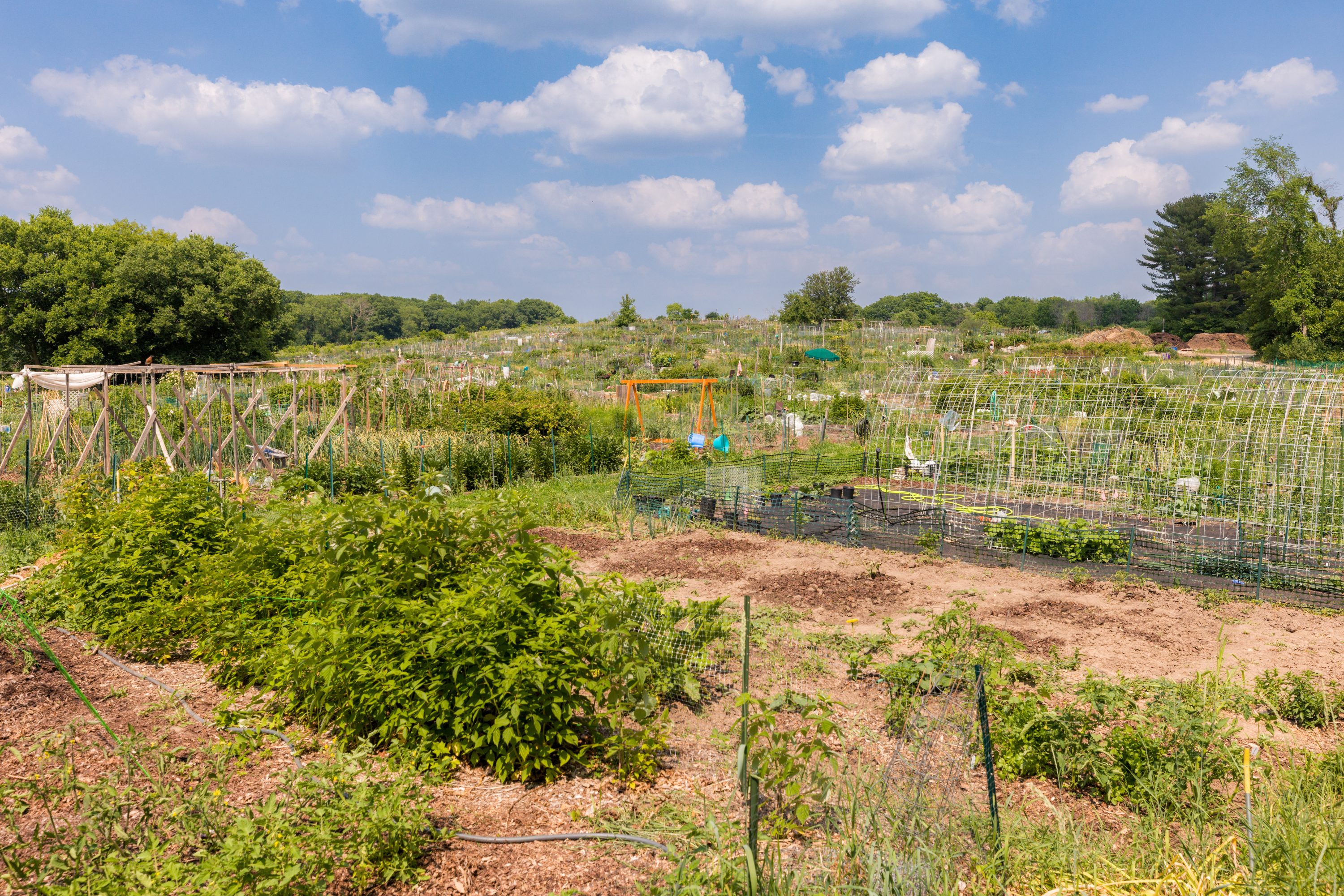 Eagle Heights Community Garden