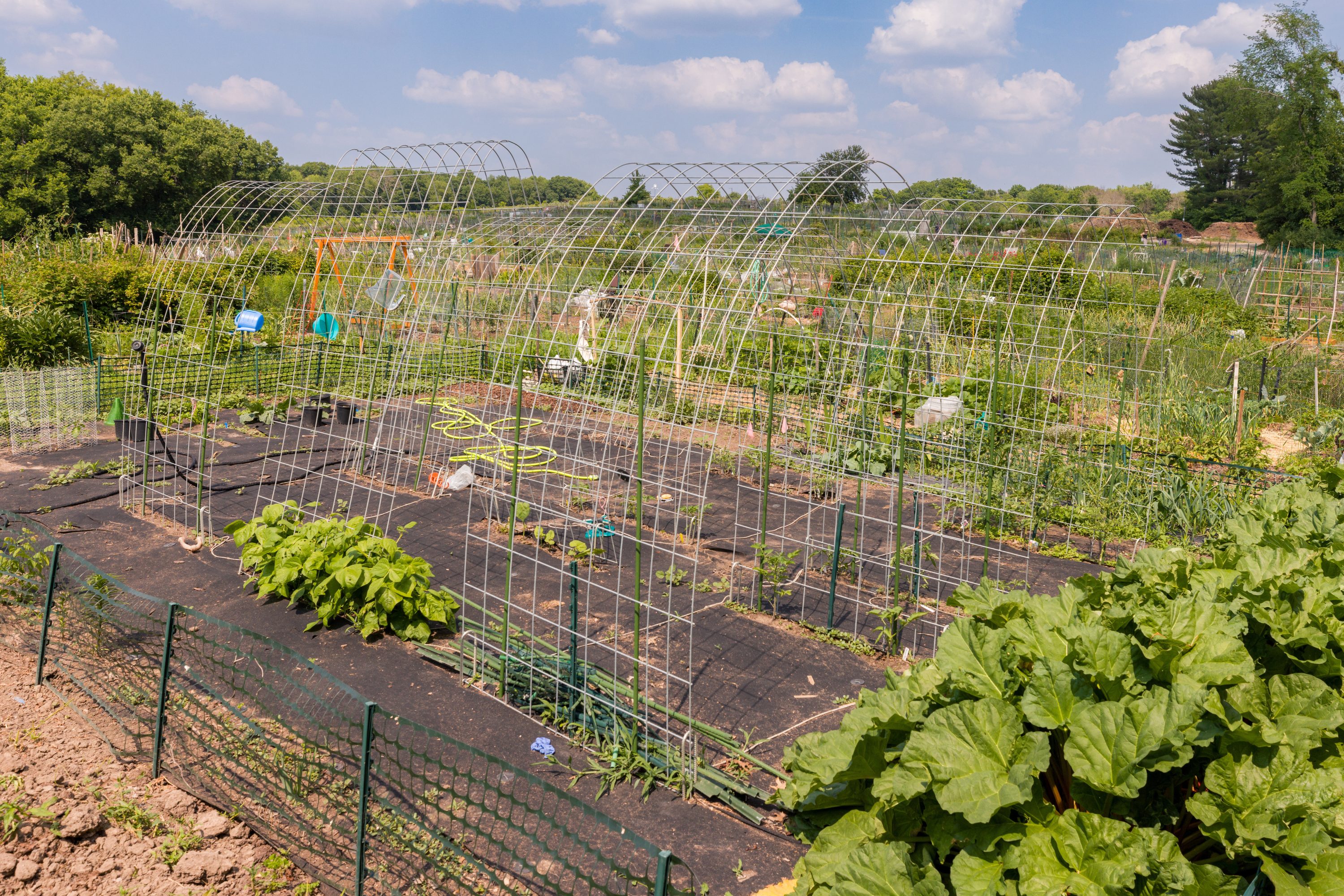 Eagle Heights Community Garden