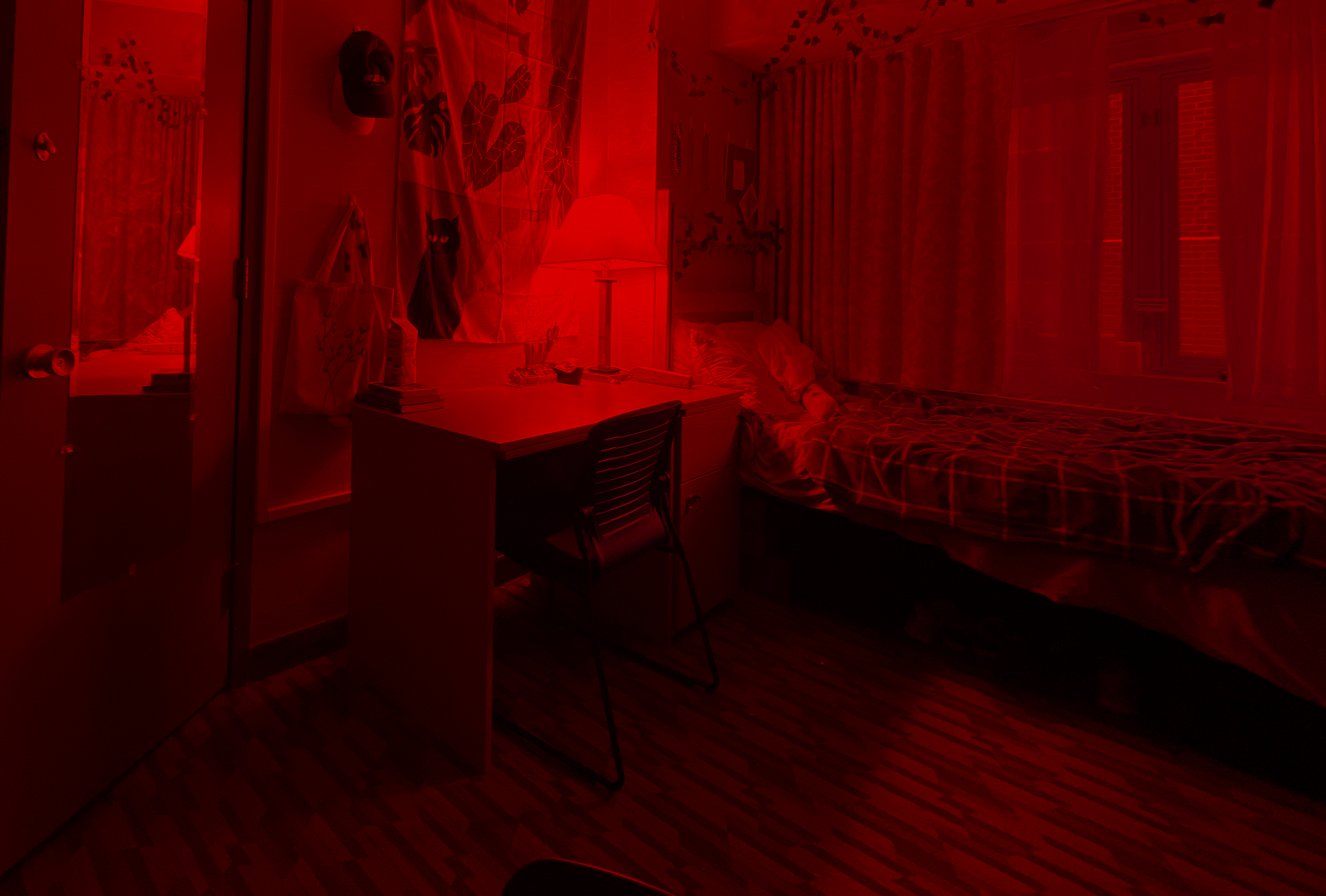 Lowell 2023 Best Room Contest finalists' room