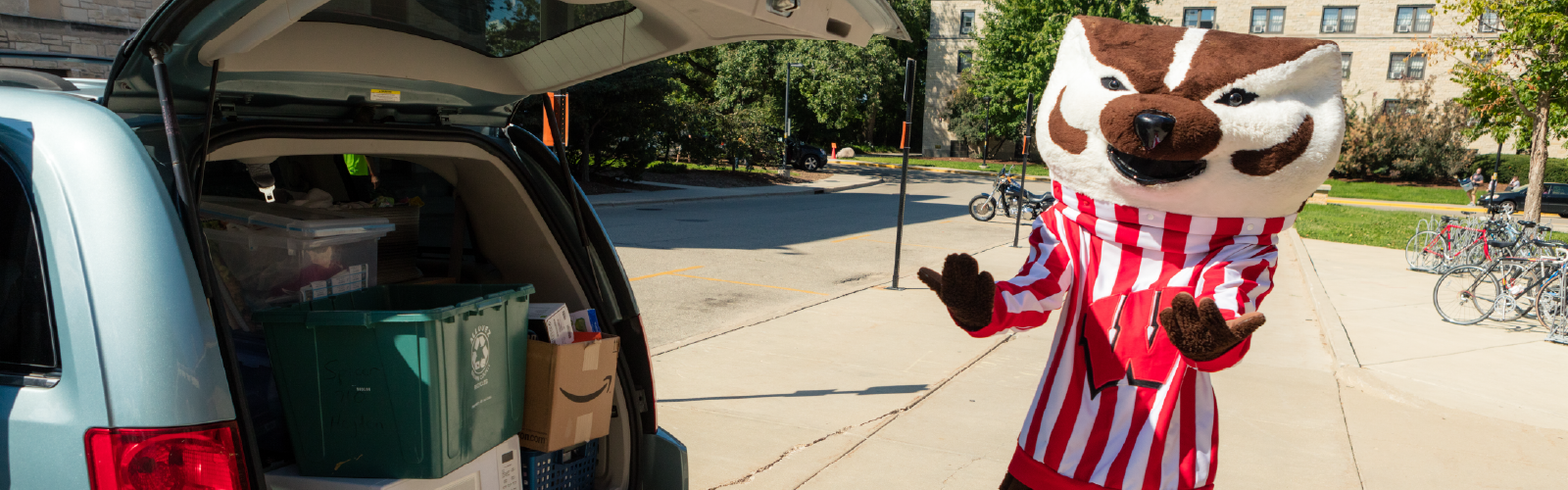 bucky during move-in