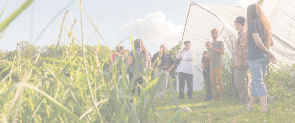 Campus Farm background