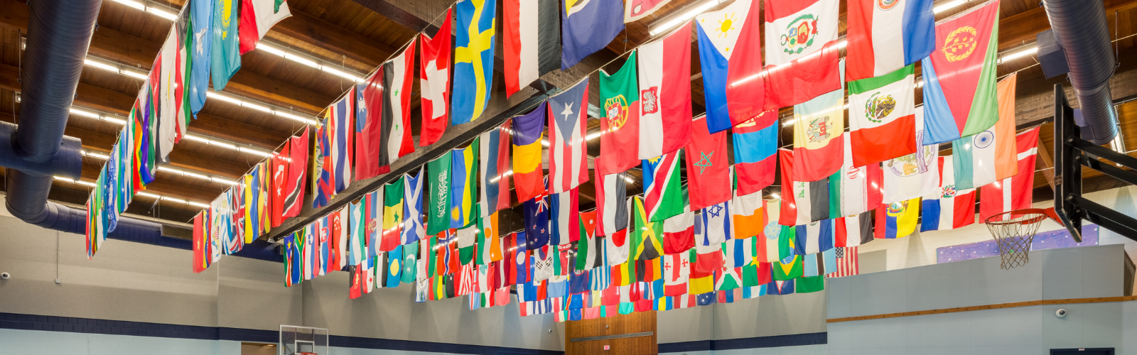 Large Gym at UA country flags