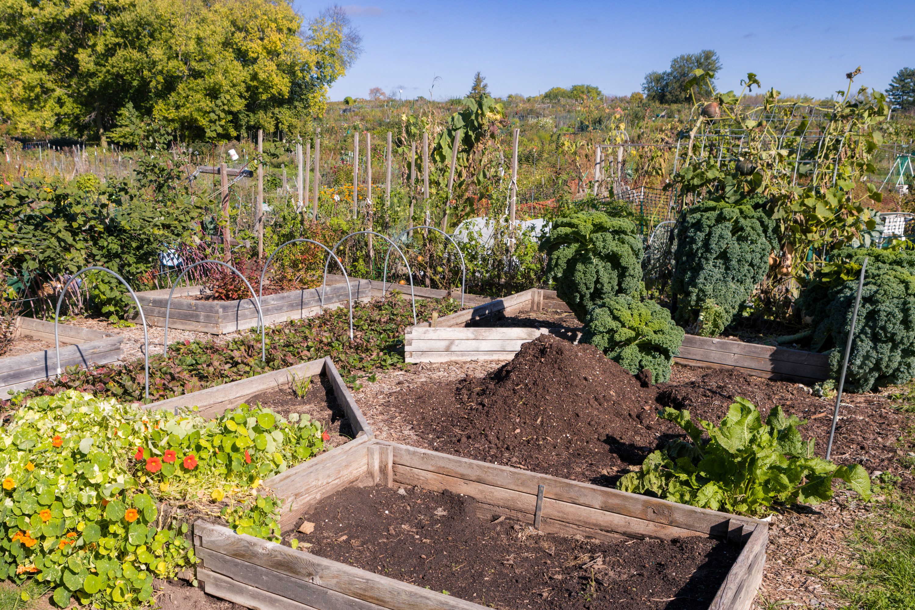Eagle Heights community Garden