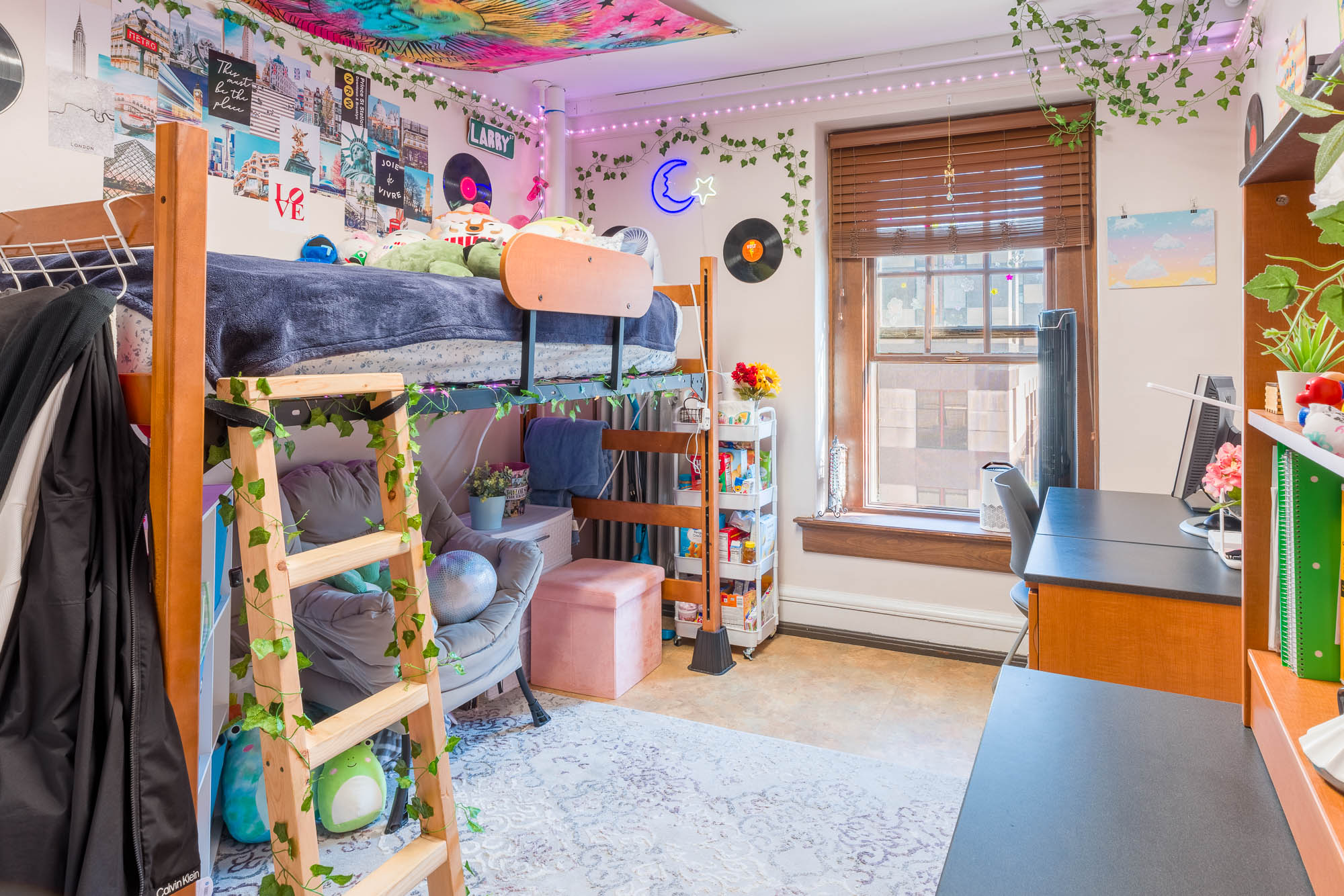 2024 Barnard Best Room Contest finalist room