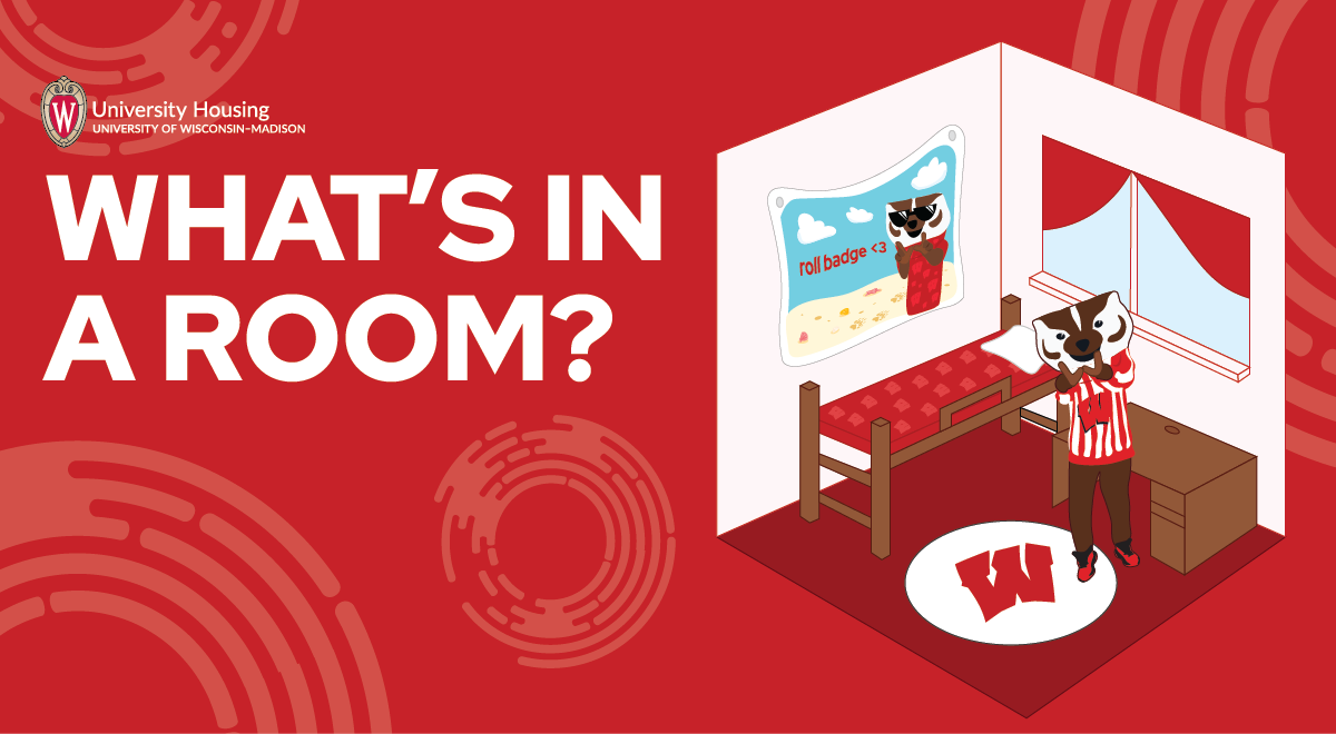What's in a room illustration with Bucky