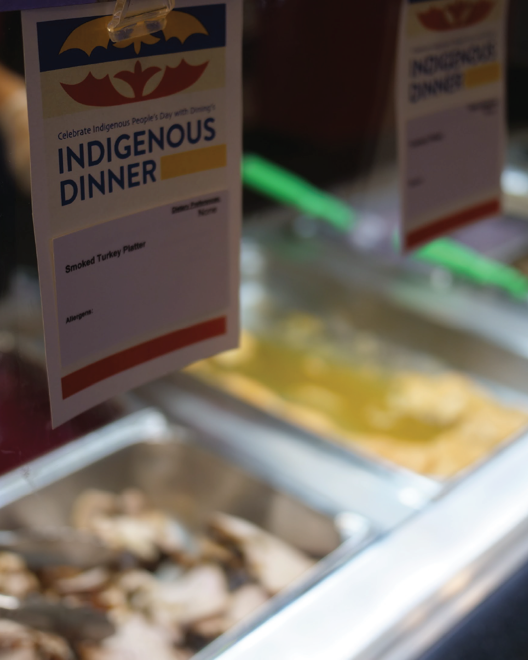 Indigenous Dinner Food