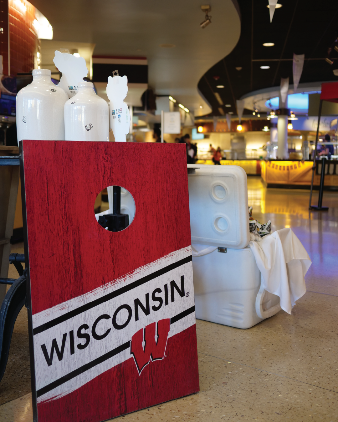 Big10 Tailgate Decor