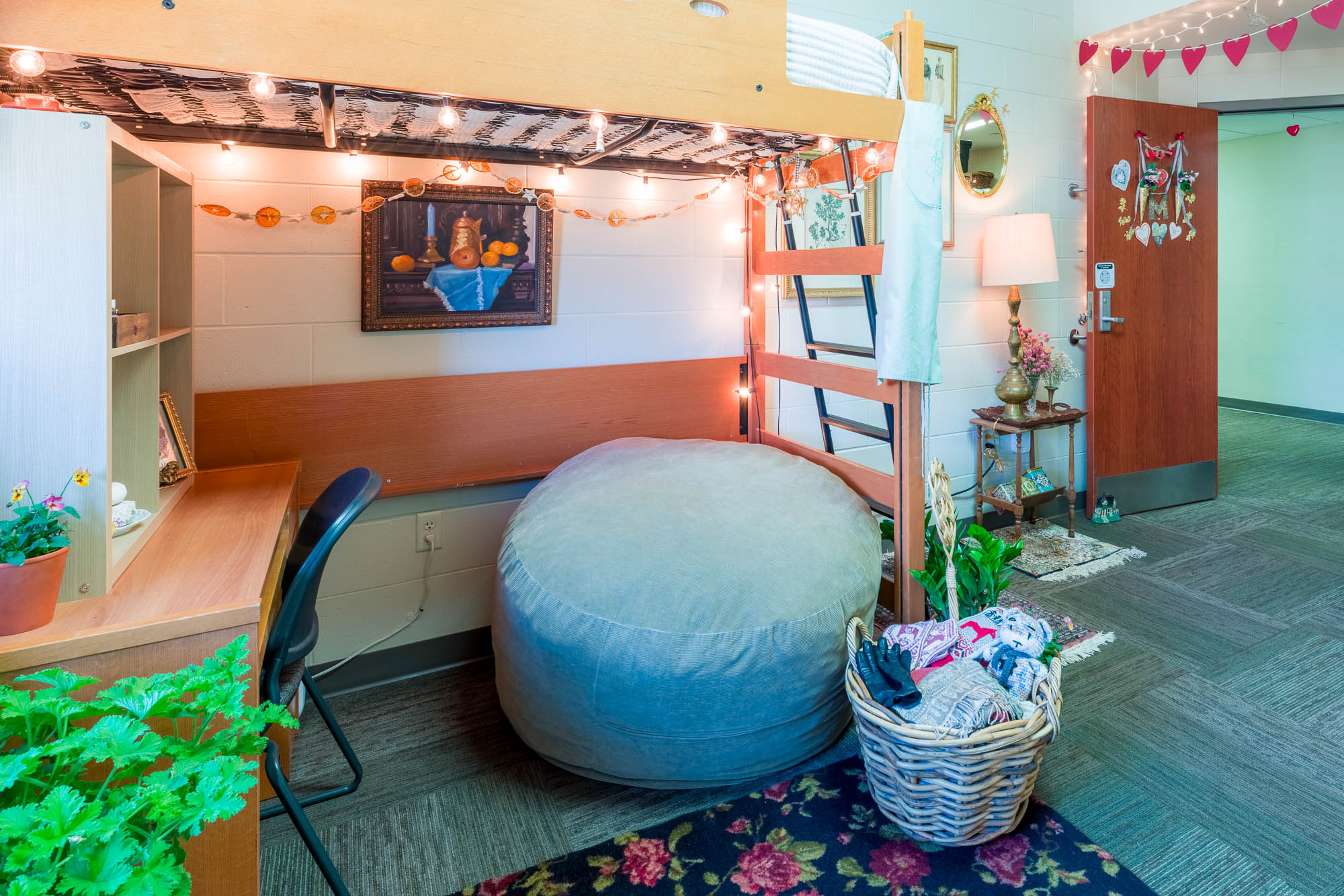 2025 Leopold Best Room Contest finalist room