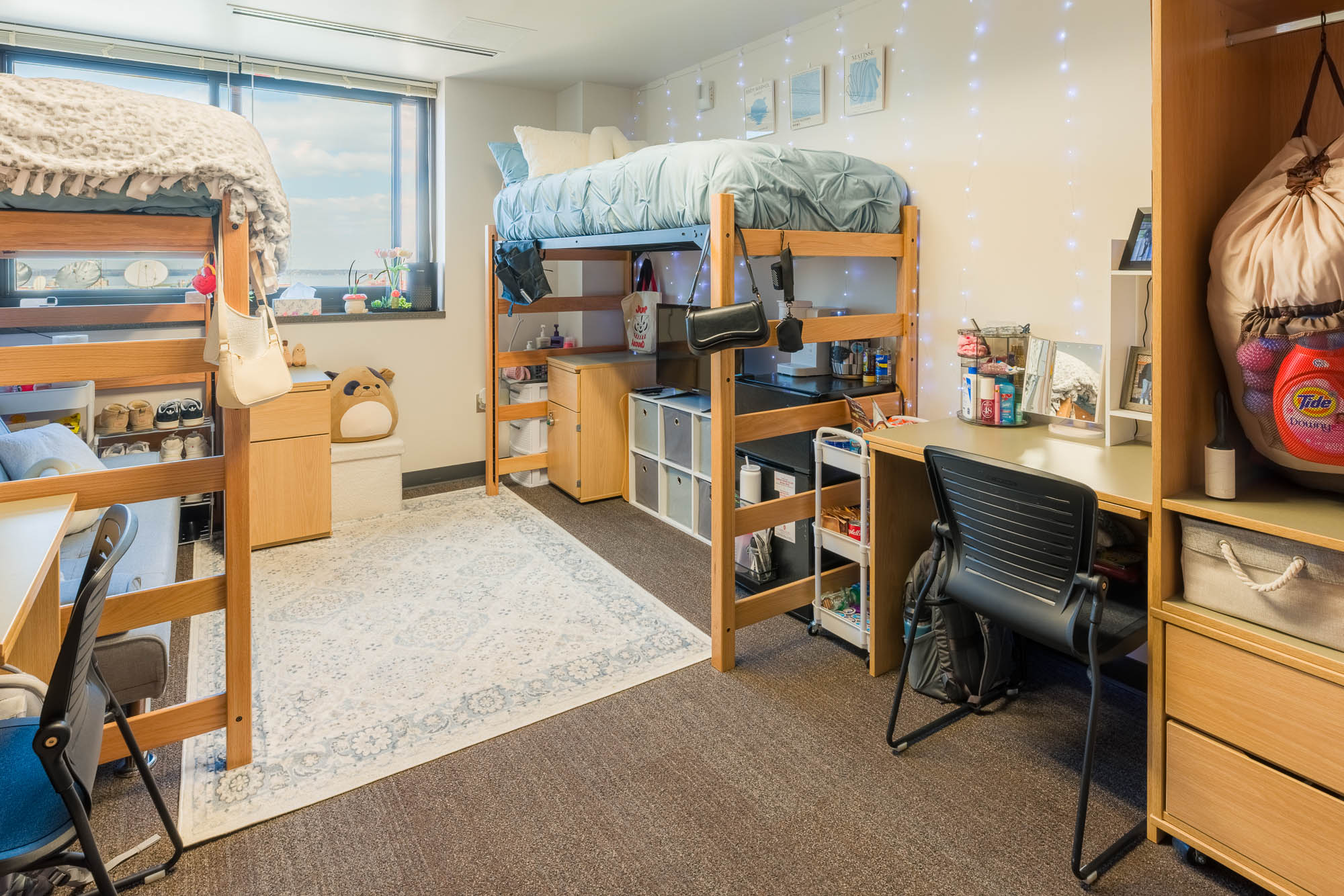 2025 Sellery Best Room Contest finalist room