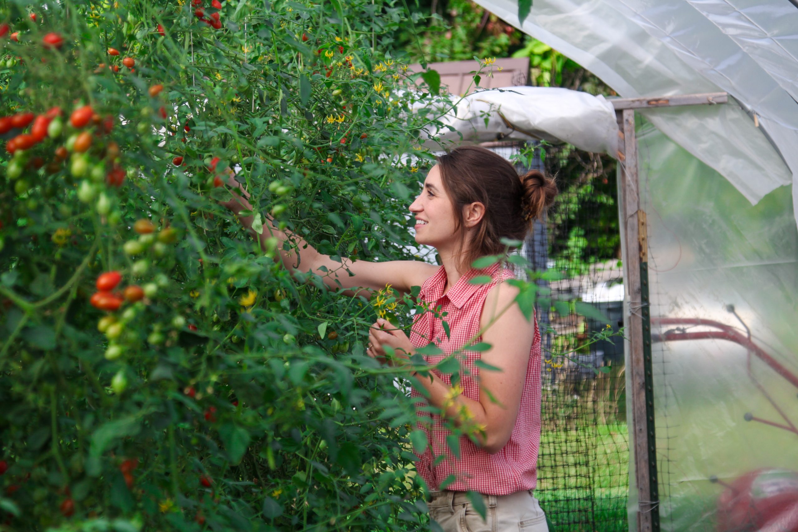 Campus Farm staff picking produce