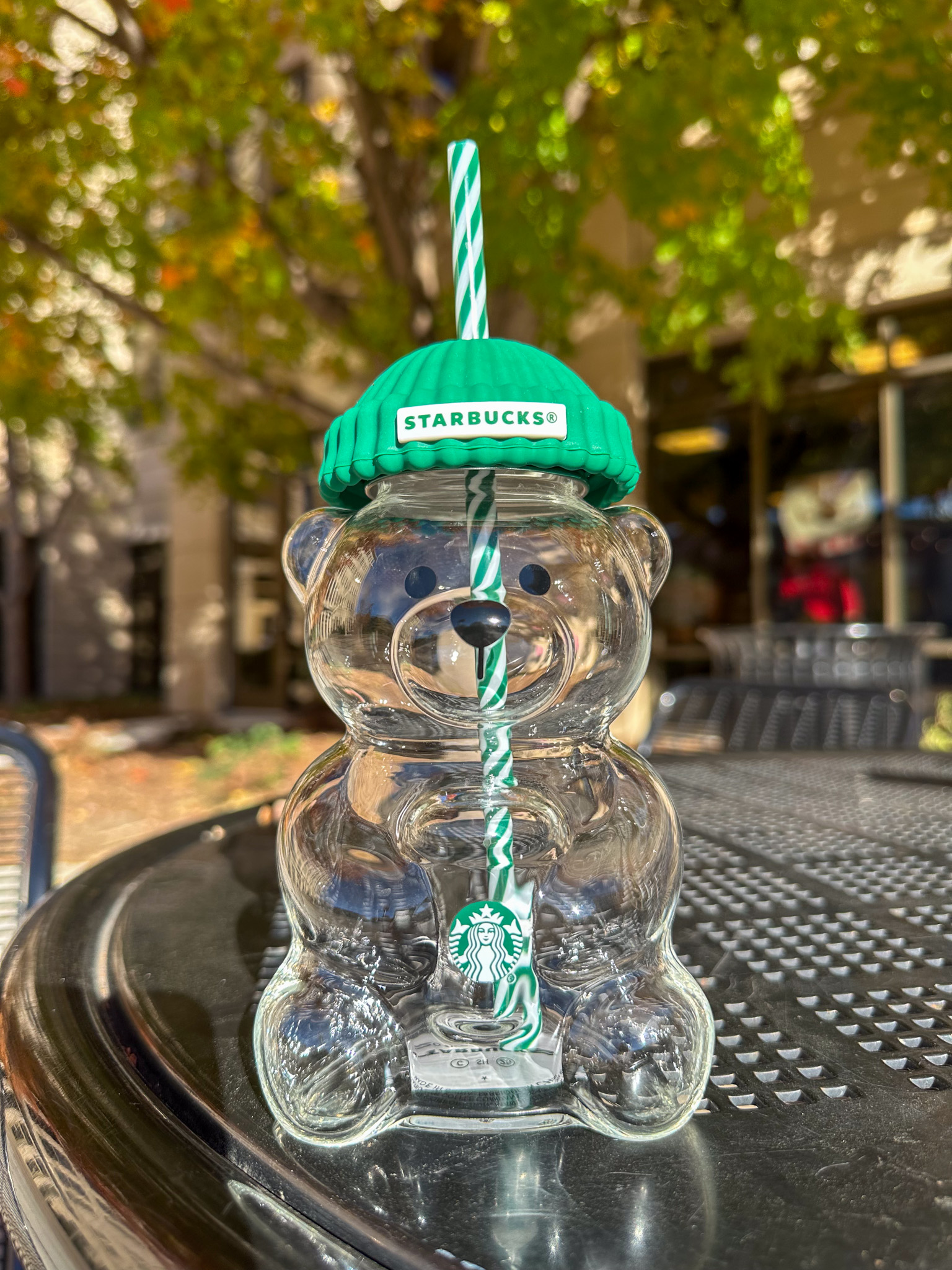 Starbucks Holiday Merchandise Clear Teddy Bear with green hat and straw