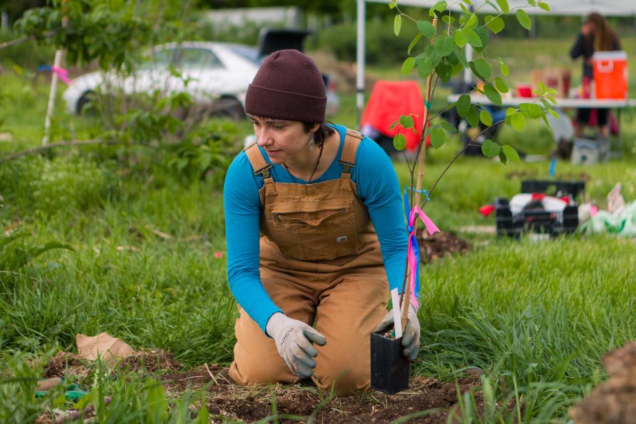 Dining student planting at the campus farm