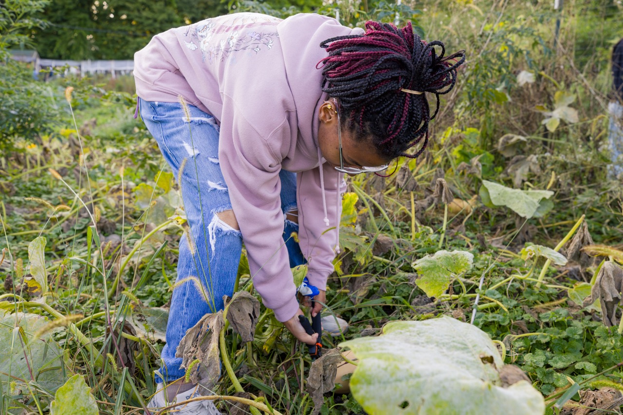 GreenHouse student out picking at campus farm