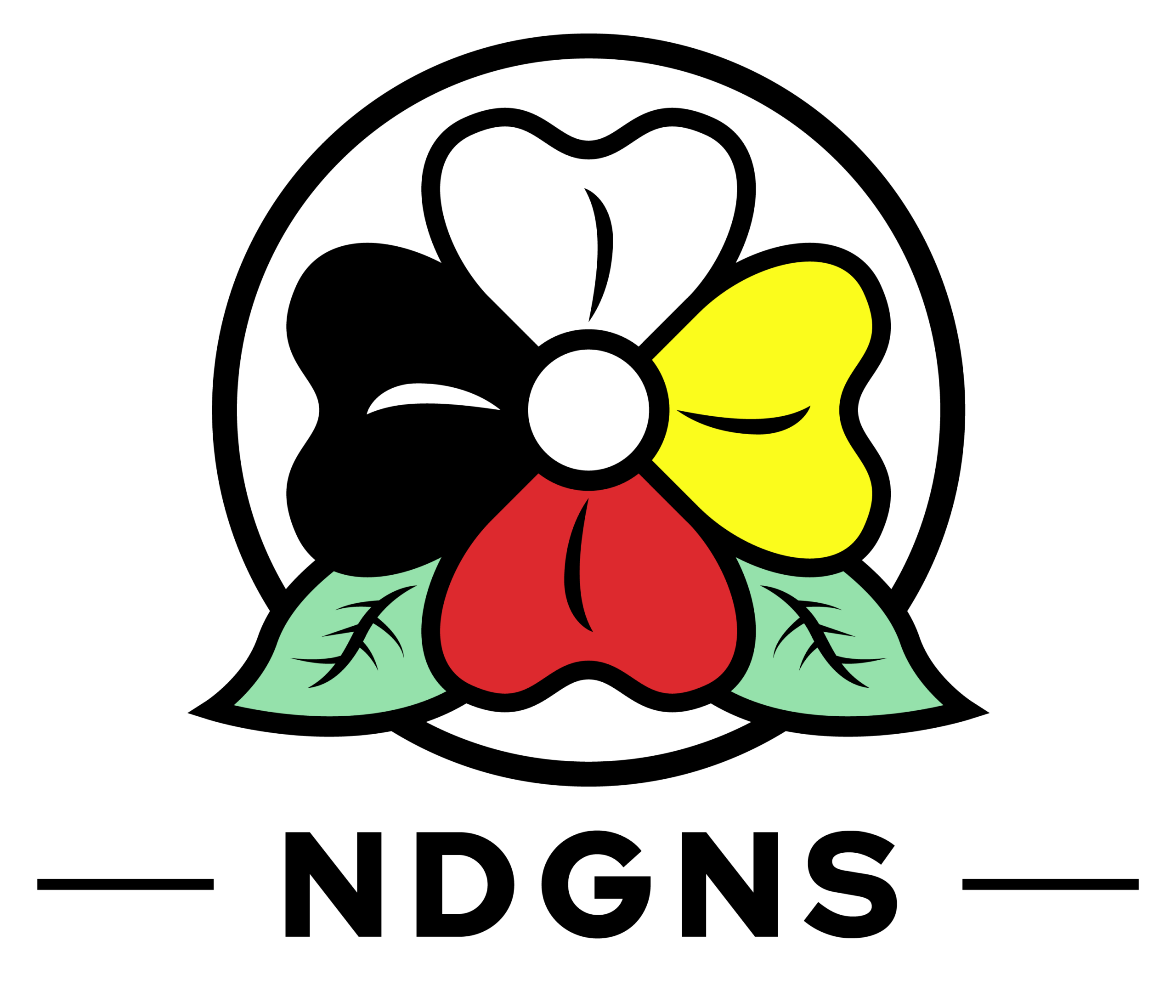 NDGNS logo