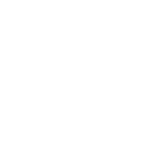 White left arrow icon