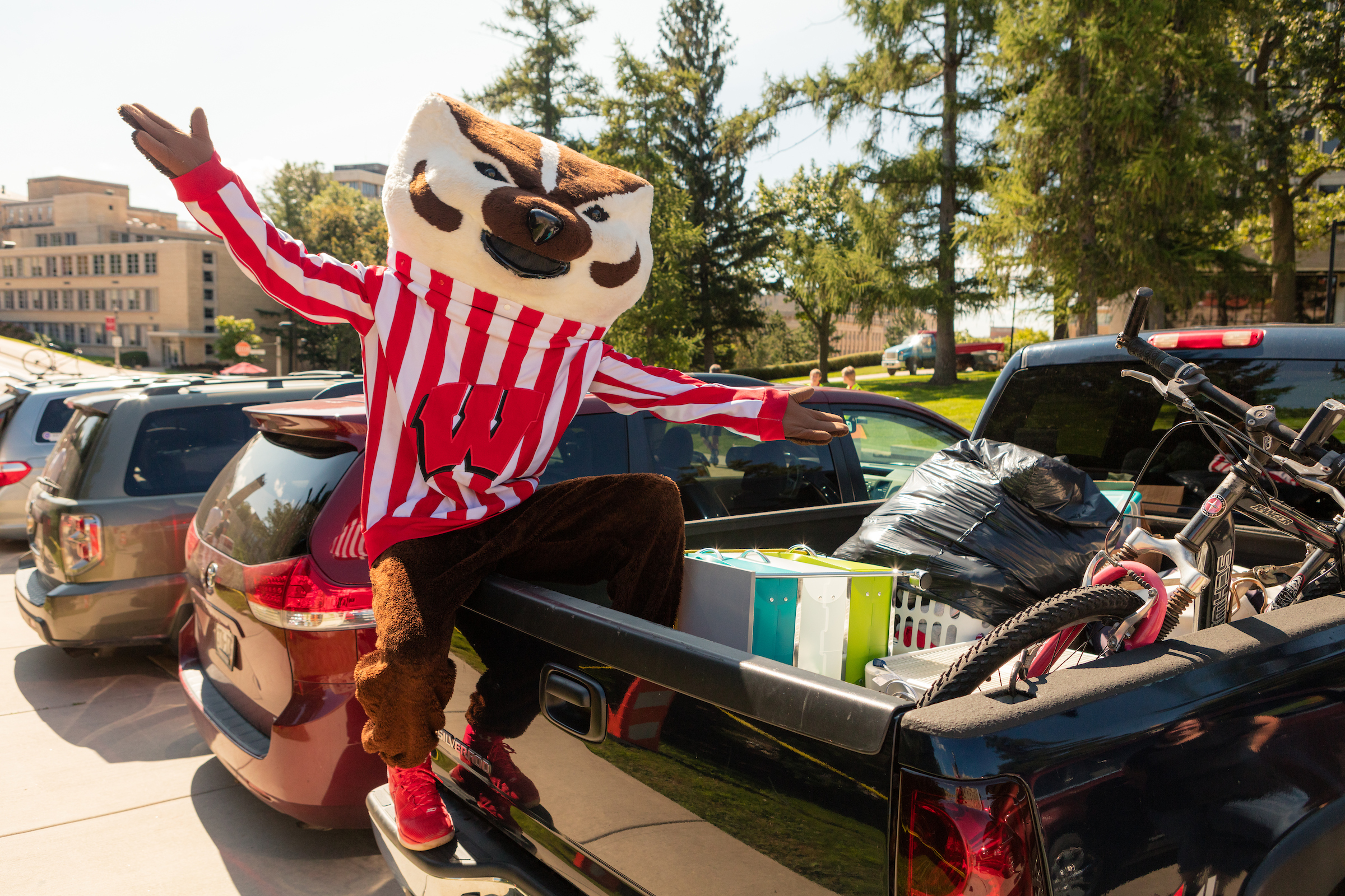 Bucky Badger posing during move-in.