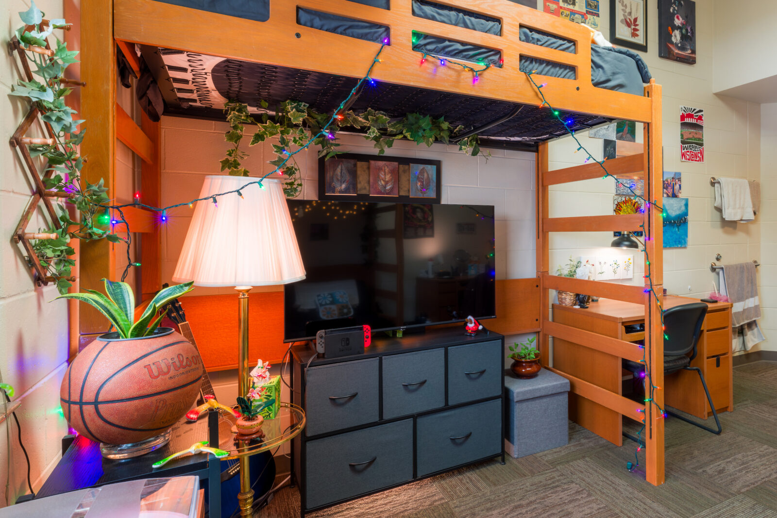 2026 Leopold Best Room Contest Finalist