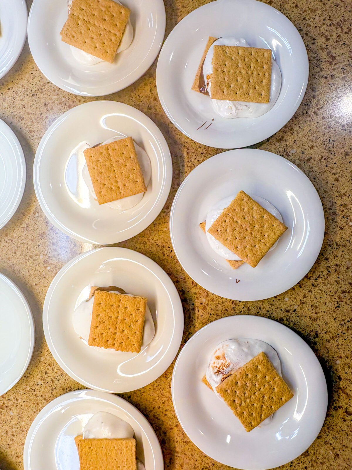 Overhead photo of smore's at Bucky's Send Off Dinner 