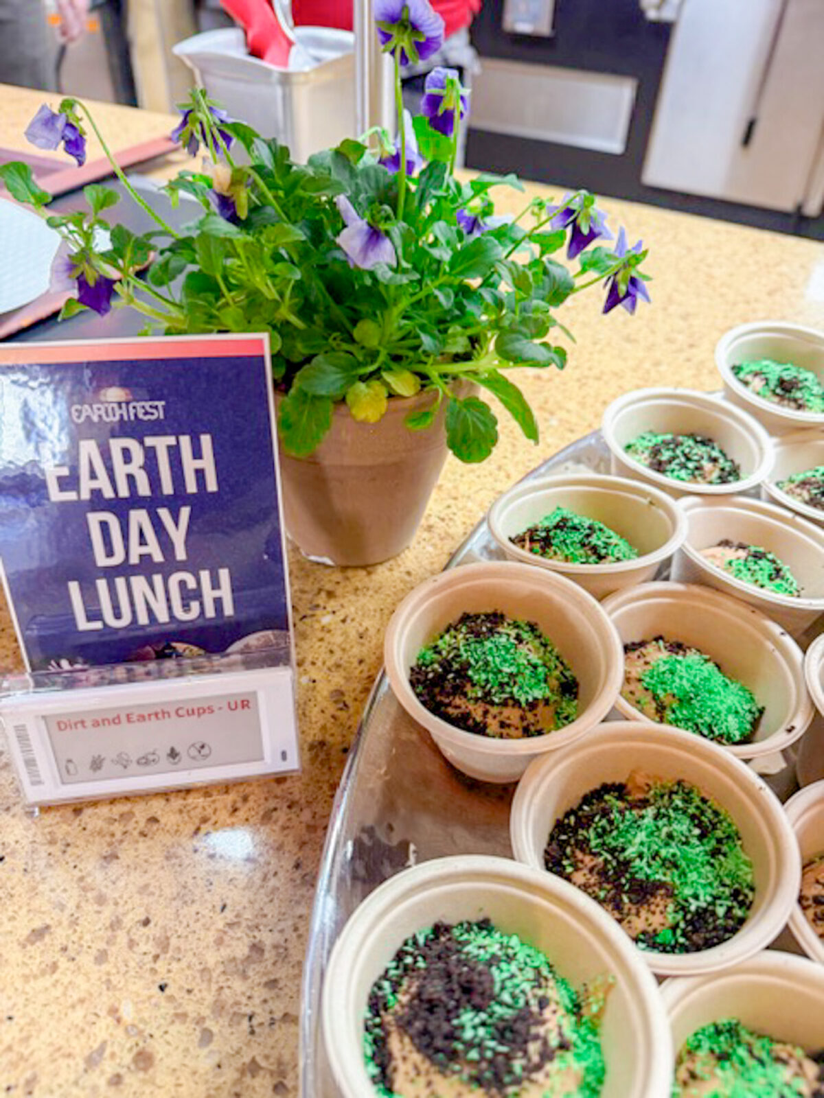 Earth Day lunch dirt cups